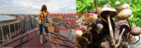 синтетический гашиш Волоколамск