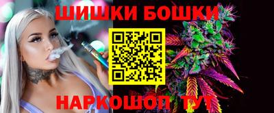 МДПВ Гатчина