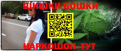 МДПВ Гатчина