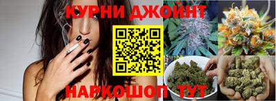 МДПВ Гатчина