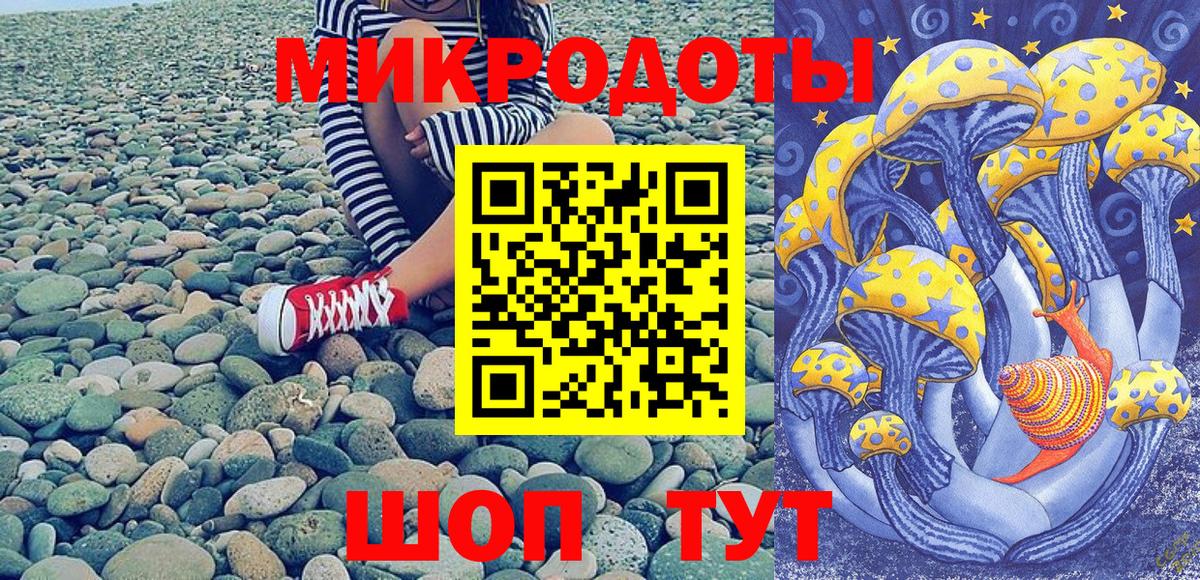 Галлюциногенные грибы Psilocybe  Вход с VPN  Малоярославец 