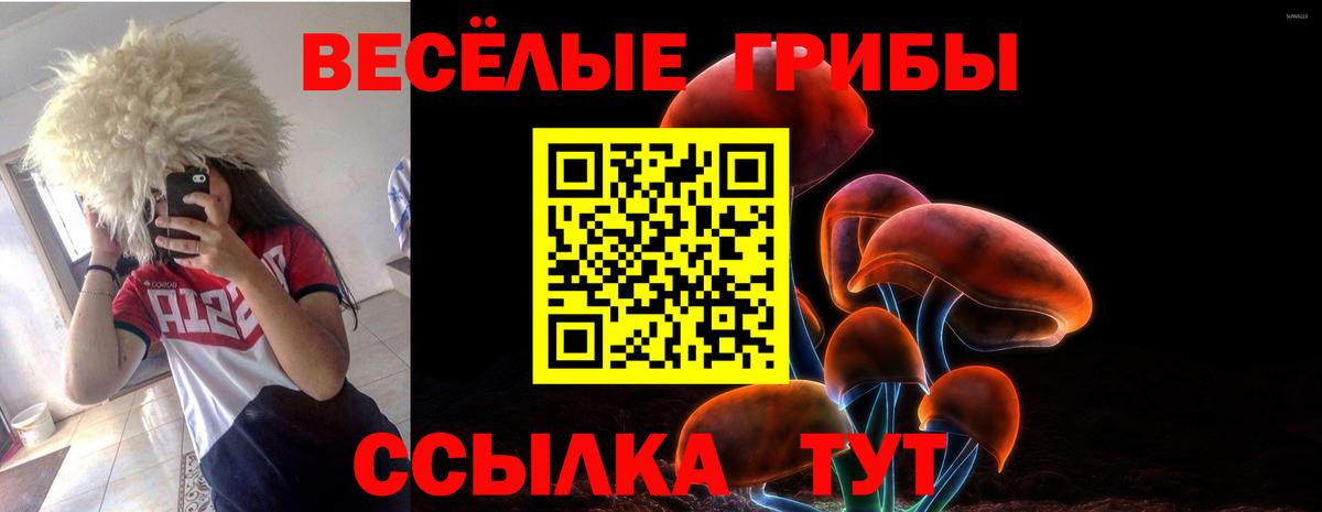 Галлюциногенные грибы Psilocybe Малоярославец